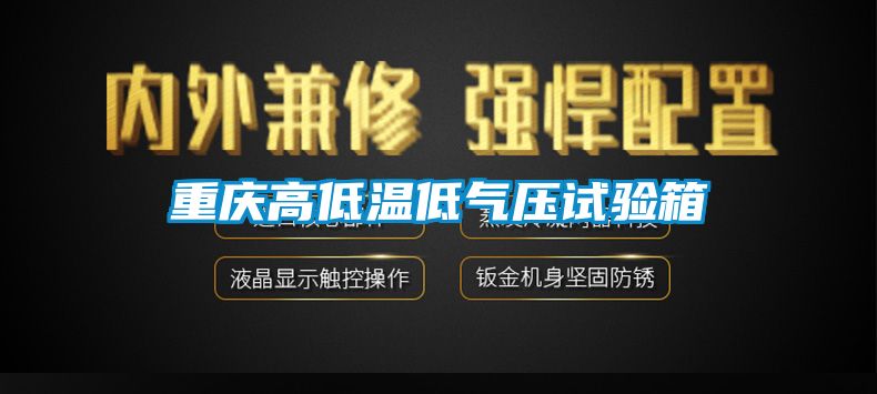 重庆高低温低气压试验箱