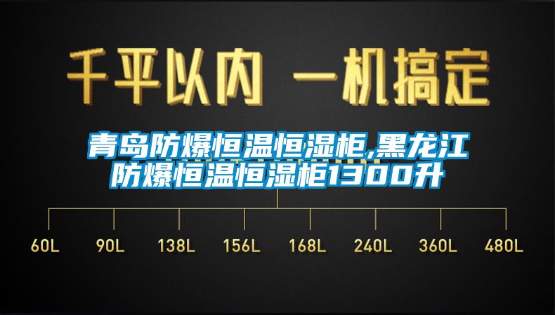 青岛防爆恒温恒湿柜,黑龙江防爆恒温恒湿柜1300升