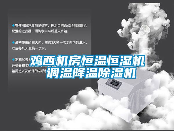 鸡西机房恒温恒湿机 调温降温91香蕉视频官网机