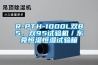 R-PTH-1000L双85、双95试验机／东莞恒湿恒湿试验箱